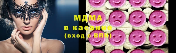 гашик Алексин