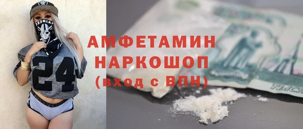гашик Алексин