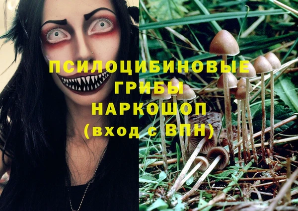 молекула духа Алзамай