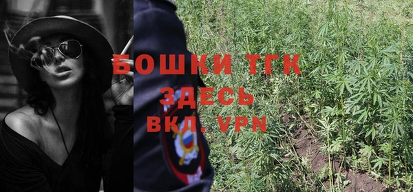 гашик Алексин